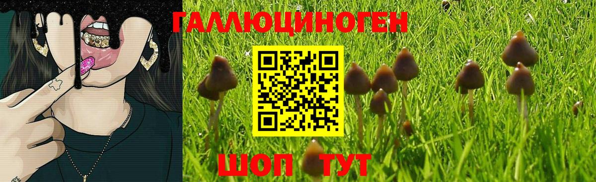 Дивногорск  Галлюциногенные грибы Cubensis  Псилоцибиновые грибы мухоморы  Вход с VPN 