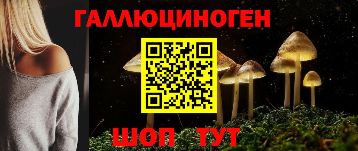 Псилоцибиновые грибы Psilocybine cubensis Дивногорск
